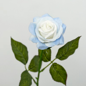 Rose artificielle hydratante de haute qualité pour la décoration intérieure, accessoire de photographie de mariage, plante verte artificielle <span class=keywords><strong>en</strong></span> <span class=keywords><strong>pot</strong></span>, commande <span class=keywords><strong>en</strong></span> gros - Product Image 2