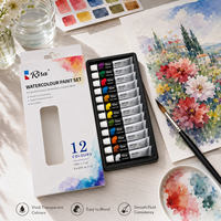 Ensemble de peinture à l'aquarelle de 12 couleurs, tubes de 12 ml, Risa, pigments vibrants transparents, faciles à mélanger, pigments d'artiste, artisanat, kit d'art DIY