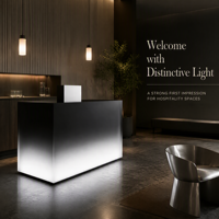 Comptoir de réception en acrylique à dégradé personnalisé, rétroéclairé par LED, moderne et minimaliste, sur mesure pour salon, hôtel, bureau