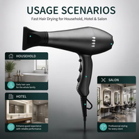 2000W AC Moteur Sèche-Cheveux Salon Sèche-Cheveux Ensemble Avec Diffuseur Concentrateur Buse Pour Salon