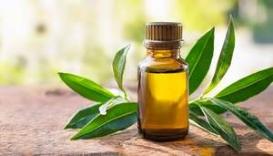 Aceite Esencial de Árbol de Té 100% Puro de Alta Calidad para el Cuidado del Cabello y la Piel, Terapia de Masajes, Sesiones de Spa, Relajación, Aroma Dulce y Fresco, Ecológico - Product Image 4