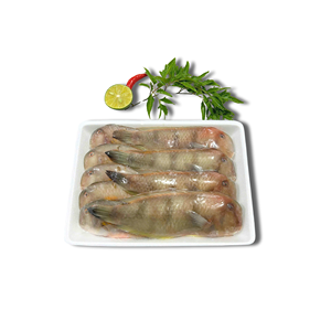 Pargo Bebé Entero Congelado de Vietnam Fresco IQF/BQF, 24 Meses de Vida Útil, Nuevo Marisco Envasado al Vacío a Granel, Precios Competitivos al por Mayor - Product Image 2