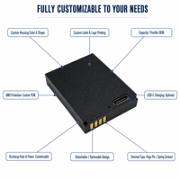 Batterie Li-ion rechargeable OEM personnalisée avec borne de contact à ressort Pogo Pin, conception détachable pour caméra corporelle et IoT portable