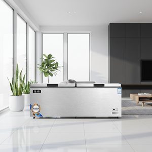 Congélateur coffre électrique commercial à double compartiment, dégivrage automatique, <span class=keywords><strong>classe</strong></span> énergétique <span class=keywords><strong>A</strong></span>+, pour usage hôtelier et domestique, grande capacité, haute qualité - Product Image 1