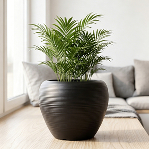 Grenzüberschreitender Kunstkeramik-Blumentopf, Schwarzer Apfeltopf, Luxuriöser Hochwertiger Verdickter Kugelförmiger Nordischer Gartentopf - Product Image 2