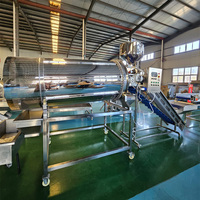 Nouvelle machine d'assaisonnement automatique 1000 kg/h pour la transformation de snacks et de chips