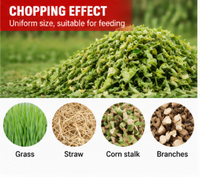 Broyeur de fourrage JIANGLAI, coupe-herbe, machine à couper le fourrage, machine à couper la paille, le maïs, les tiges, la ensilage pour l'alimentation animale