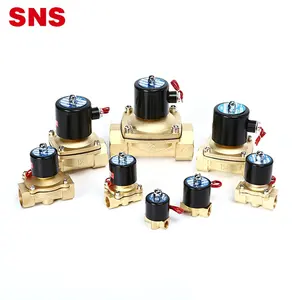 Sns 2W Serie Normaal Gesloten Elektrische 220V 24V 12V Messing Water Magneetventiel Met G/npt Draad