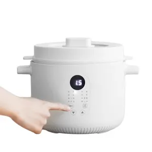 Olayks Kitchen Appliances 2.5L Electric Ceramic Slow Cooker Pot Multi-function Health Stew Pot Porridge Soup Cooker