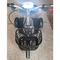 Tricycle électrique économique à 3 roues avec capacité de charge de 100 kg pour les déplacements personnels, moteur avant de 350 W, scooter électrique Zappy