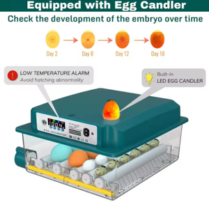 Incubadora de Aves de Corral, Apta para Pollos, Patos, Gansos y Codornices, Totalmente Automática, Ideal para Granjas Familiares y Uso Comercial - Product Image 4