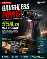Perceuse à percussion sans fil DERUIDA 16,8 V, mini-visseuse à batterie, perceuse à bois sans balais 55 N.m avec kit de 24 pièces