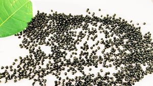 Тёмно-черные полиэтиленовые частицы HDPE LDPE, полипропиленовые Карбон - Product Image 6