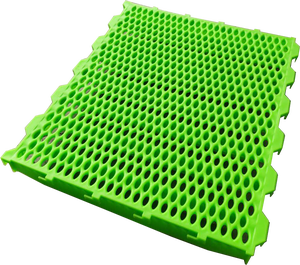 Nuovo Tappeto a Griglia in Plastica <span class=keywords><strong>DEBA</strong></span> per Allevamento Suini, Vendita Diretta dalla Fabbrica, Garanzia 1 Anno, Materiale PP, Acciaio e Legno - Product Image 2