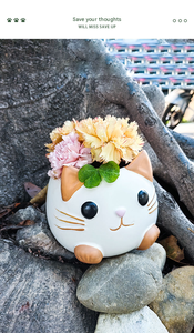 Kotak Keramik Penyimpanan Abu Jenazah Hewan Peliharaan Kucing Anjing, Urne Funeraire Pour Chien Chat - Product Image 6