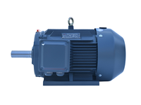 Moteur asynchrone triphasé AC 0,5HP-74HP 380V/220V 50/60Hz, efficacité IE2-IE4, protection IP54/IP55, isolation