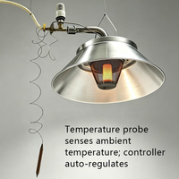 Chauffe-gaz catalytique infrarouge sûr et réglable en température THD5609 2026, économie d'énergie, finition argentée pour élevages avicoles
