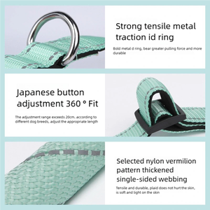 <span class=keywords><strong>Collar</strong></span> de mascota personalizado a la moda hebilla de Metal ajustable correas de nailon de <span class=keywords><strong>PVC</strong></span> <span class=keywords><strong>collar</strong></span> de perro de tela impermeable - Product Image 6