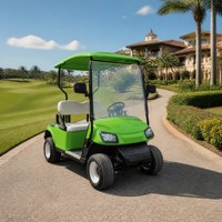 Carrito de Golf Eléctrico de Dos Plazas, Motor de CA de 3kW, Capacidad de Subida del 25%, Sistema Patentado Anti-Retroceso, Freno Hidráulico Doble, OEM ODM