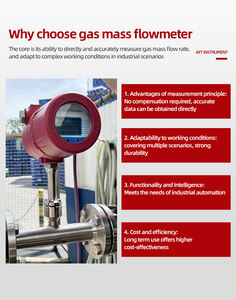 उच्च सटीकता 1% डिजिटल संपीड़ित शुष्क वायु गैस खपत प्रवाह मीटर पल्स rs485 थर्मल गैस द्रव्यमान फ्लोमीटर - Product Image 4
