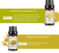 Aceite Esencial de Lavanda 100% Puro y Natural, 8 Aromas, 10 ml, Precio al por Mayor, Suministro del Fabricante, OEM, Navidad