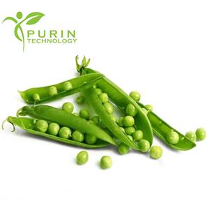 Süt içermeyen gıda üretimi için yüksek saflıkta % bezelye <span class=keywords><strong>Protein</strong></span> tozu - Product Image 2