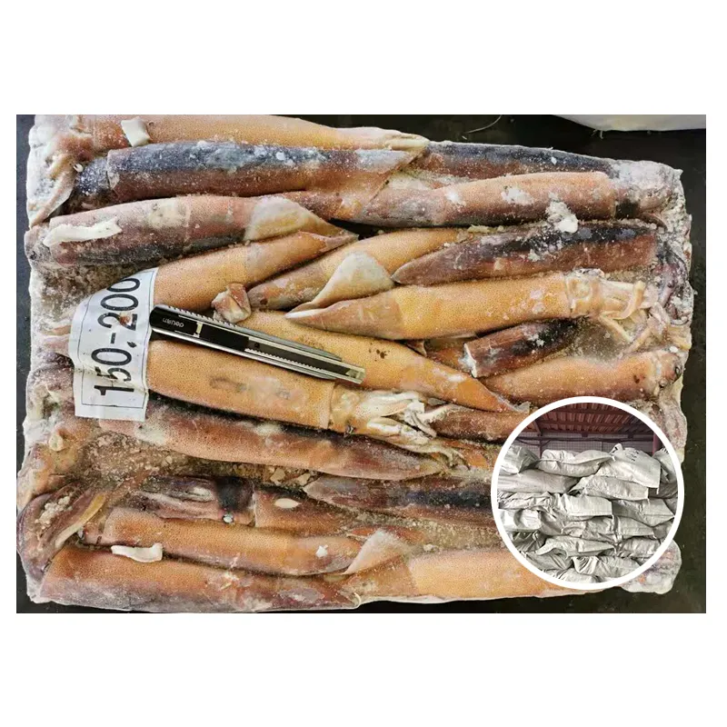 China Supplier Wholesale Frozen Small Squid Illex Squid for Squid Importers