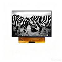 8,9 Zoll IPS TFT LCD Modul 3840x2400 Pixel 50 Pin MIPI LED-Hintergrundbeleuchtung Rundumsicht für 3D-Drucker