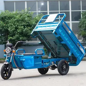 2024 Nieuwe Product Elektrische Landbouw Lading Driewieler Scooter Trike Motorfiets Riksja