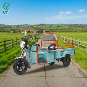 Groothandel op maat gemaakte driewielige elektrische driewieler motorfiets voor volwassenen passagiers - Product Image 1