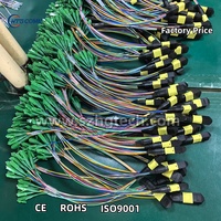 Cable de Fibra Óptica MPO de 5 Metros del Fabricante, Tipo B, Cable de Conexión MTP, 12F OM3, 3.0MM, LSZH, Certificado CE, Garantía de 5 Años para Redes Interiores