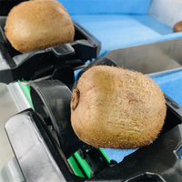 Sorteermachines En Sorteermachines Voor Groenten En Fruit, Producten Voor De Grootte, Sorteermachine Voor Fruit En Sortering