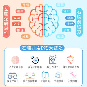 Alat Bantu Pengajaran Pelatihan Perkembangan Otak Kiri dan Kanan  Konsentrasi Anak dan Gerakan Halus Edukasi Th - Product Image 6