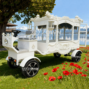 Carroza Fúnebre Eléctrica de Alto Rendimiento, Color Blanco Puro, Precio de Fábrica, para Desfiles Fúnebres - Product Image 4