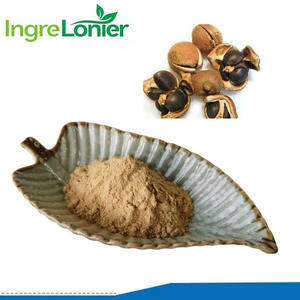 Vente en gros de poudre de graines de thé au <span class=keywords><strong>prix</strong></span> d'usine Extrait de feuille de thé vert Saponine <span class=keywords><strong>Camélia</strong></span> Sinensis Extrait de thé Poudre de saponine - Product Image 2