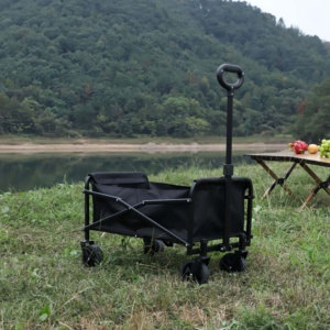 Chariot de <span class=keywords><strong>camping</strong></span> tout-terrain robuste à pneus larges pour sable, dunes, herbe, boue, randonnée, chariot utilitaire extérieur robuste - Product Image 2