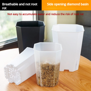 Macetas Mini para Suculentas Resistentes al Envejecimiento P378, Transparentes, Blancas, con Control de Raíces, Aberturas Laterales, Octogonales, Cuadradas, de Plástico - Product Image 2