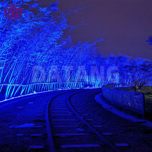 Color Wash Dyeing Lamp IP65 For <b>Christmas</b> Streets And Park Installations - Product Image 4