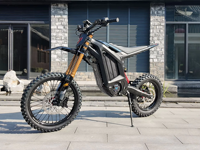 Véhicule tout-terrain électrique professionnel sans balais Arctic Leopard XF-PRO 2026 pour la course et l'exploration en extérieur