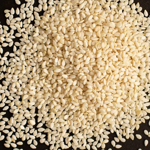 Organic Style Sesame <b>Seeds</b> Natural Whole Kernel For Culinary Use Bakery Topping <b>Salad</b> Dressing Snack Production - Product Image 5