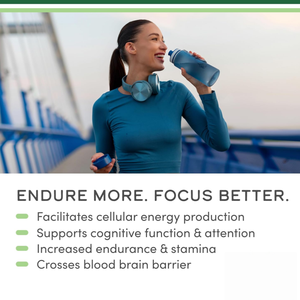 แคปซูลแอล-คาร์นิทีนสำหรับผู้ใหญ่ OEM/ODM อาหารเสริมสำหรับการออกกำลังกายก่อน/หลังการออกกำลังกาย ได้รับการรับรองออร์แกนิก ปราศจากน้ำตาล/ถั่วเหลือง ช่วยเพิ่มประสิทธิภาพ - Product Image 3