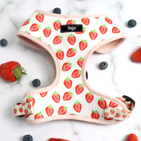 Arnés para Perro con Estampado de Fresas, Correa, Bolsa para Excrementos, Chaleco Acolchado para Mascotas, Suministros para Cachorros, para Perros Pequeños y Medianos, OEM, ODM, Venta al por Mayor