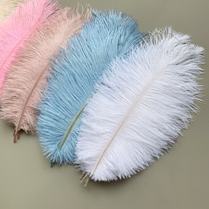 Chất Lượng Cao Đà Điểu Lông 20-25Cm Thanh Mỏng Nhà Máy Trực Tiếp Bán Cho Tự Làm Sân Khấu Trang Phục Hoa Sắp Xếp Các Phụ Kiện Khác - Product Image 3