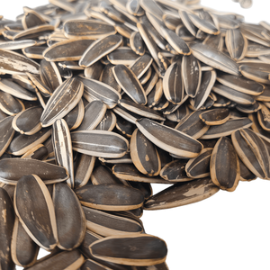 גרעיני חמניות בטעם מקורי פרימיום, חטיף בריא, פריך ומשביע, ללא תוספים - Product Image 5