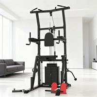 Équipement de musculation multifonctionnel pour la maison, tour de musculation pour entraînement complet de la force, tractions, musculation, exercices pour les jambes et le dos