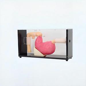 แบบจำลองฝึกปฏิบัติการส่องกล้องตรวจ<span class=keywords><strong>กระเพาะ</strong></span>อาหารและท่อทางเดินอาหาร (ERCP) พร้อมอุปกรณ์ช่วยสอนการฝึกส่องกล้องตรวจโรคทางเดินอาหารในรูปแบบจำลอง - Product Image 4