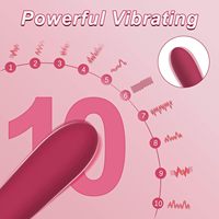 Schlanker Mini-Bullet-G-Punkt-Vibrator für Frauen Klitoris-Stimulator Kraftvolle Vibration Leiser Wiederaufladbarer Silikon-Massagestab