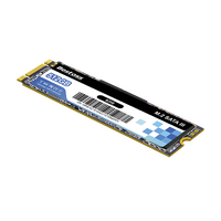 Bestoss Internal M.2 SATA 3.0 SSD 128GB/256GB/512GB Penyimpanan Kecepatan Tinggi