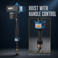 Palans électriques à faible hauteur de levage et petite capacité pour applications de grues suspendues en atelier