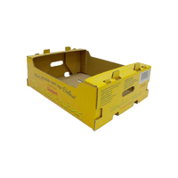 Boîte-cadeau pliable de recyclage pour achats personnalisés boîte de fruits carton de papier ondulé boîtes postales d'expédition pour fruits pastèque melon